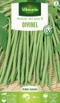 Légumes Secs - Haricot Nain Vert Divinel - PACKAGING_RECTO
